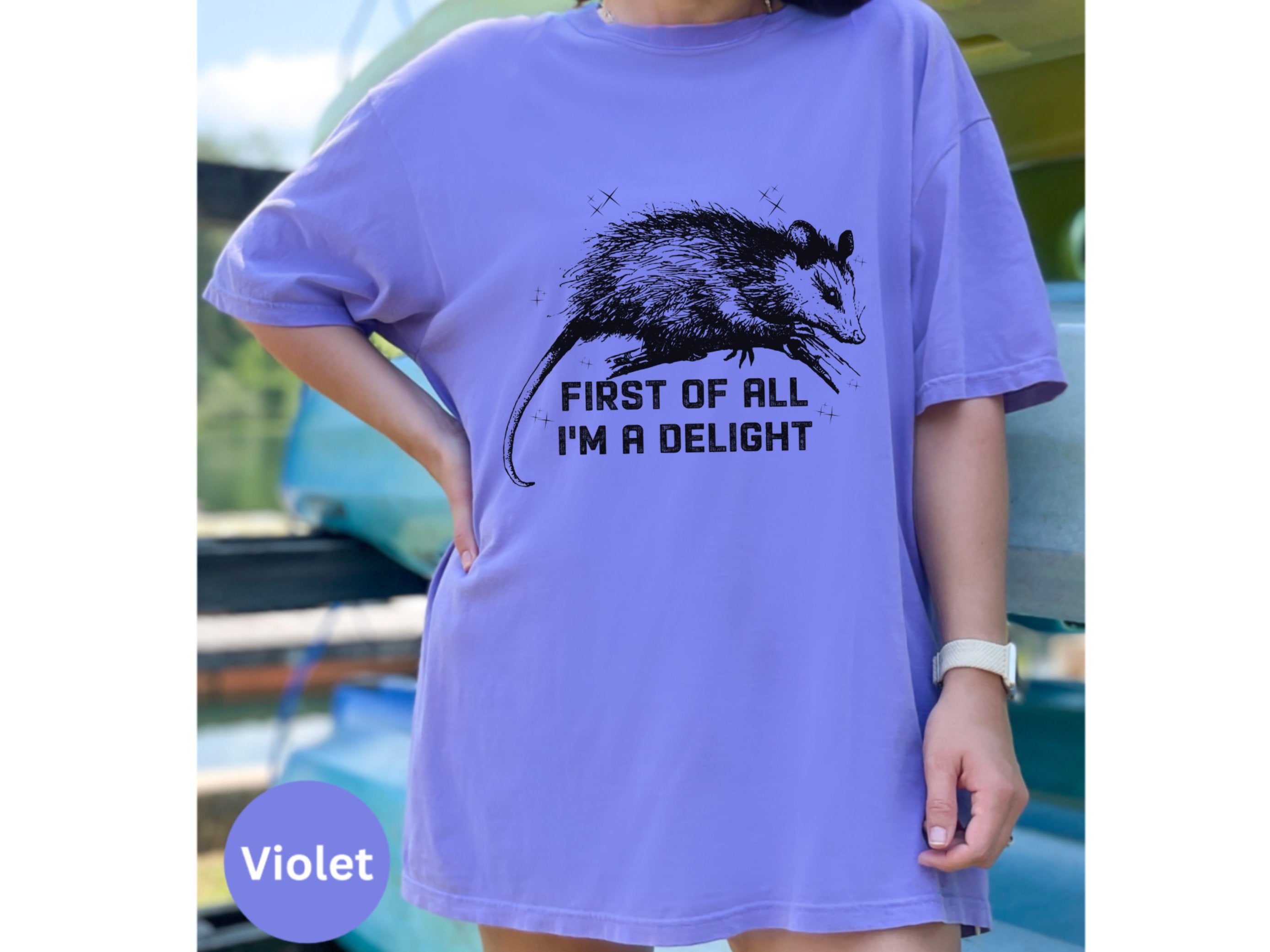 First All Im a Delight, Im a Goddamn Delight, First of All Possum Shirt, Funny Possum Shirt Womens, Possum I M Delightful Shirt, Raccoon Tee