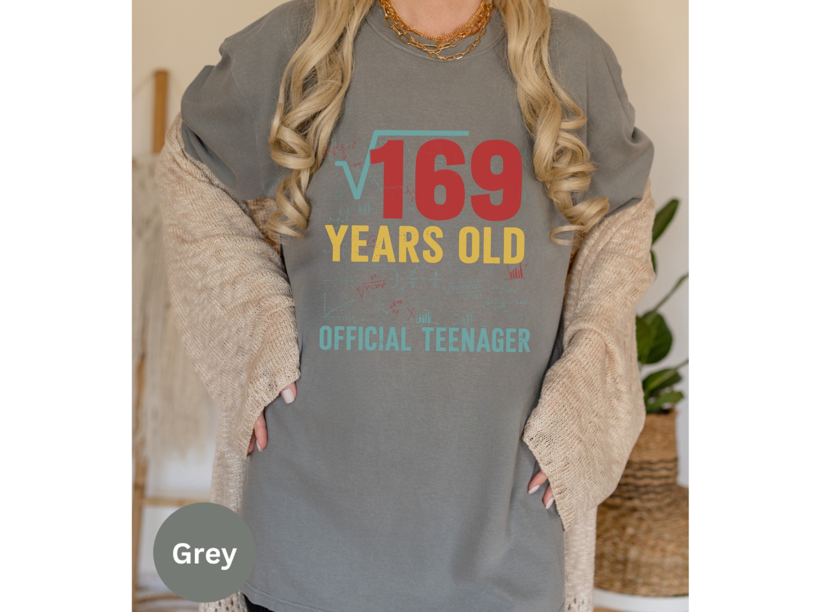 Fun 169 Years Old Official Teenager Grey Shirt
