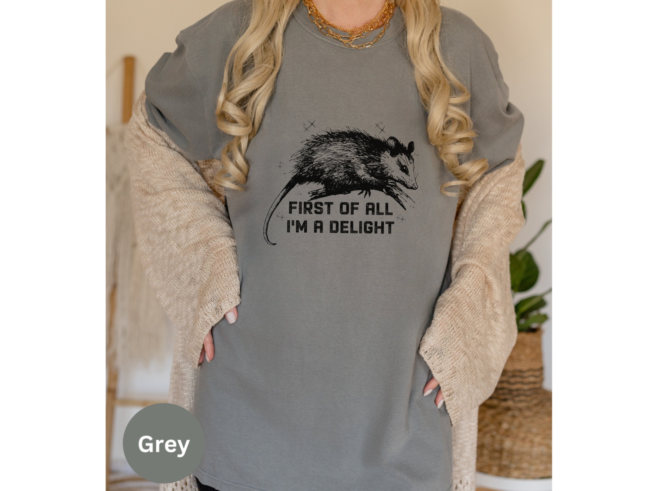 First All Im a Delight, Im a Goddamn Delight, First of All Possum Shirt, Funny Possum Shirt Womens, Possum I M Delightful Shirt, Raccoon Tee